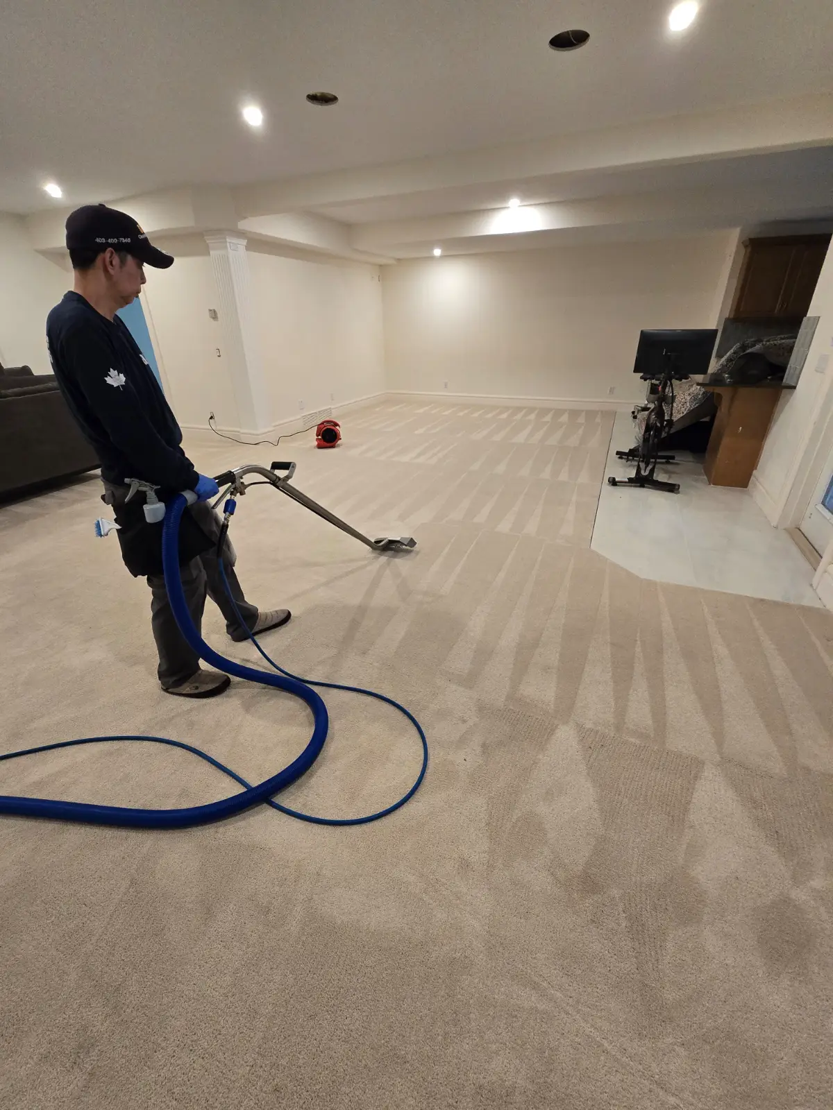 Suns Cleaning Services carpet cleaning